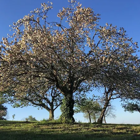 5 Lasserre Moulon-sur-Dordogne